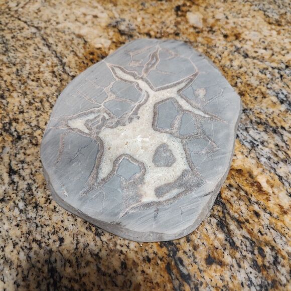 Vintage SEPTARIAN Nodule Slab Mineral With a Lightning Like Pattern - Picture 3 of 7